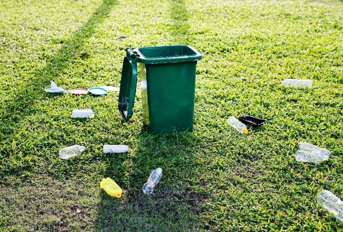 Government wants your views on recycling and waste