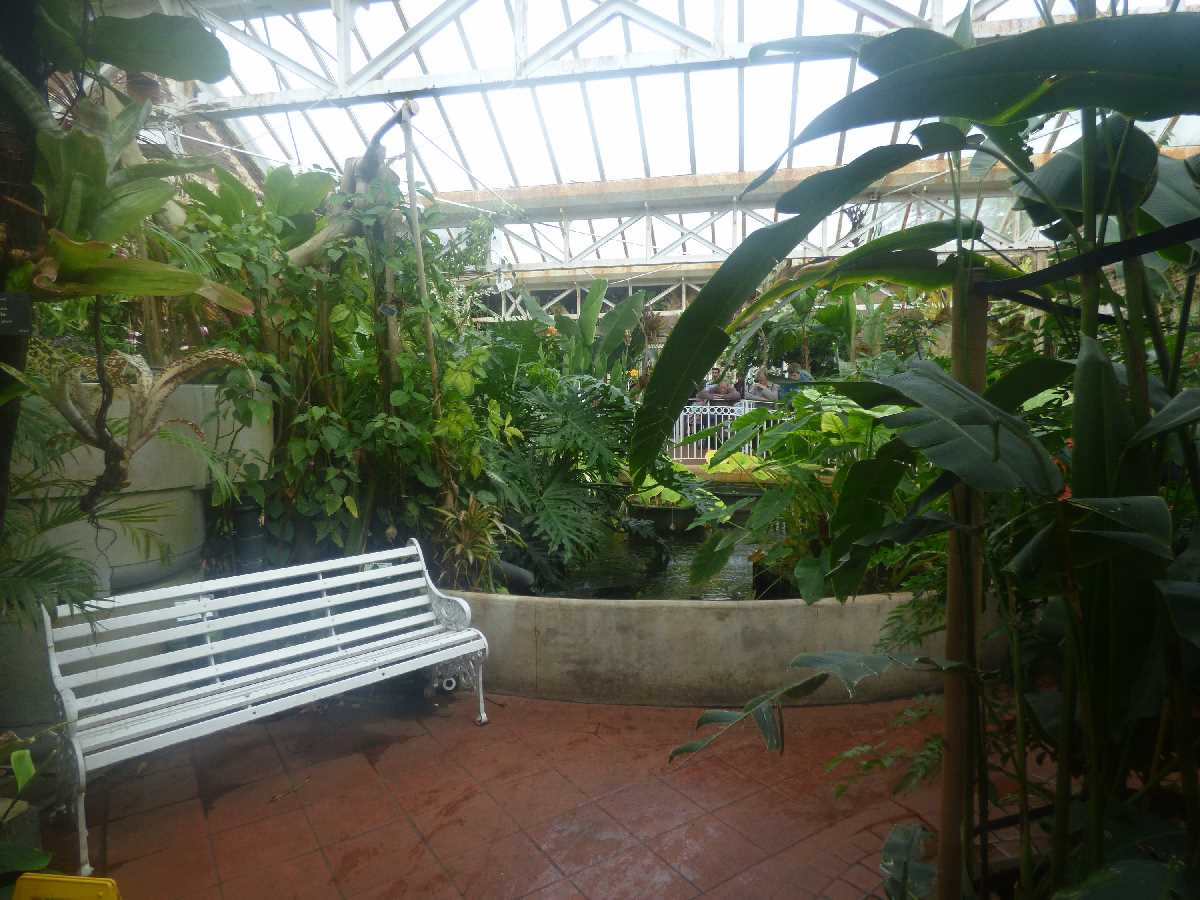 Exploring the Birmingham Botanical Gardens over the years from multiple visits