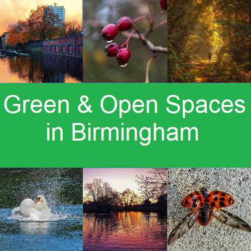 Green+%26+Open+Spaces+(city+by+city+roll-out)