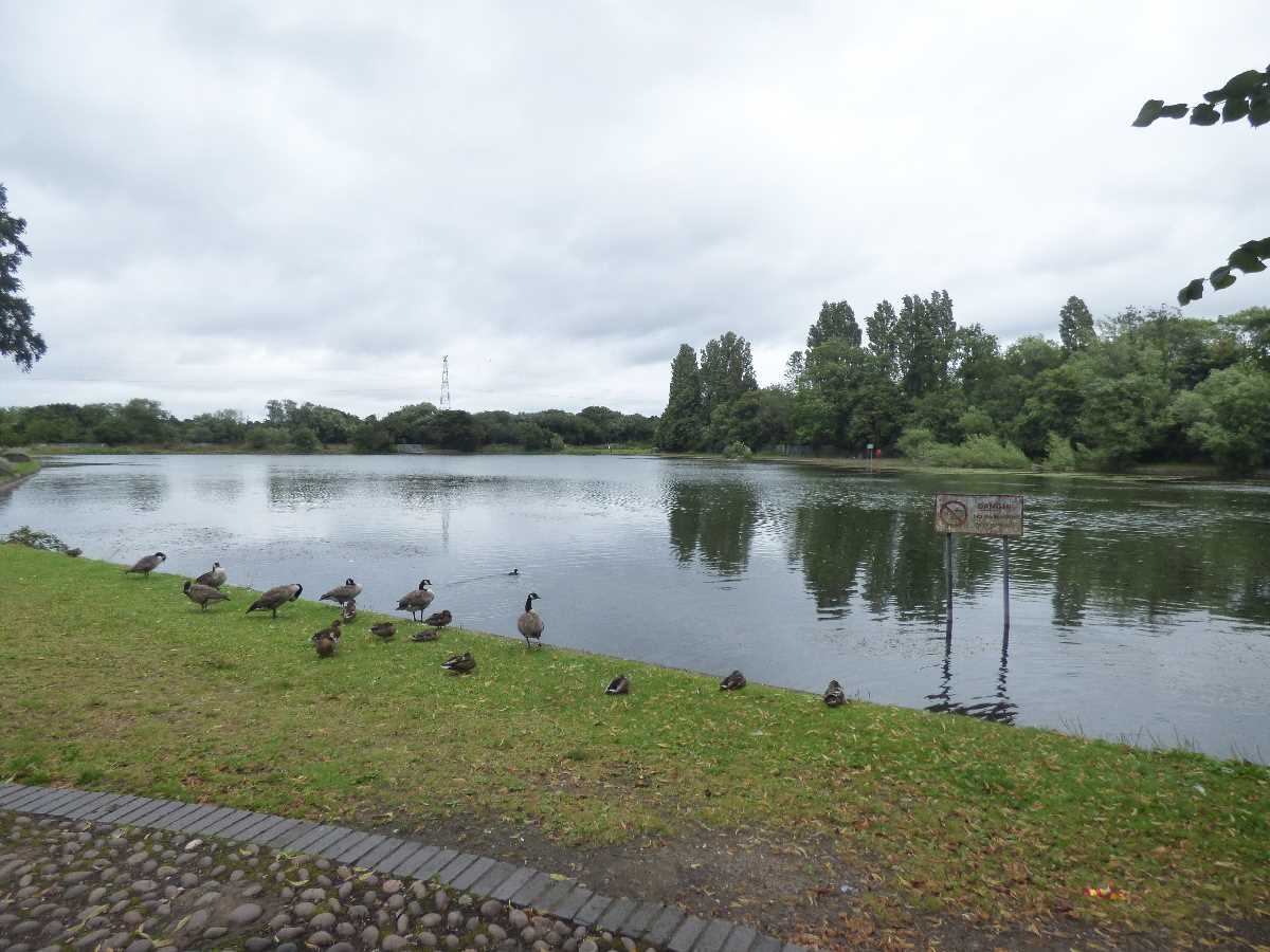 Lifford Reservoir, Birmingham - A wonderful open space!